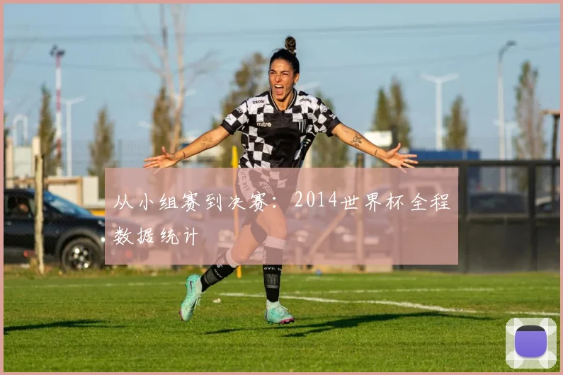 从小组赛到决赛:2014世界杯全程数据统计
