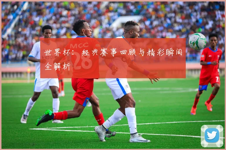 世界杯：经典赛事回顾与精彩瞬间全解析
