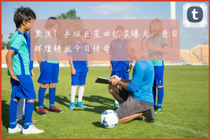 聚焦!乒坛巨星回忆录曝光,昔日辉煌铸就今日传奇